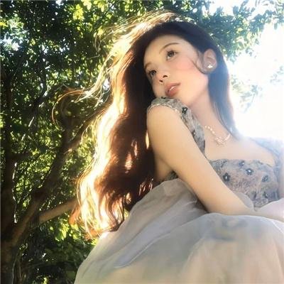 新仙鹤神针